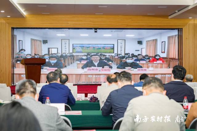 高州市副市长岑解明作视频发言。 高州市副市长岑解明作视频发言。
