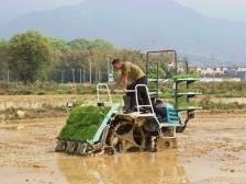 广东经济社会发展成就系列新闻发布会——乡村振兴专场