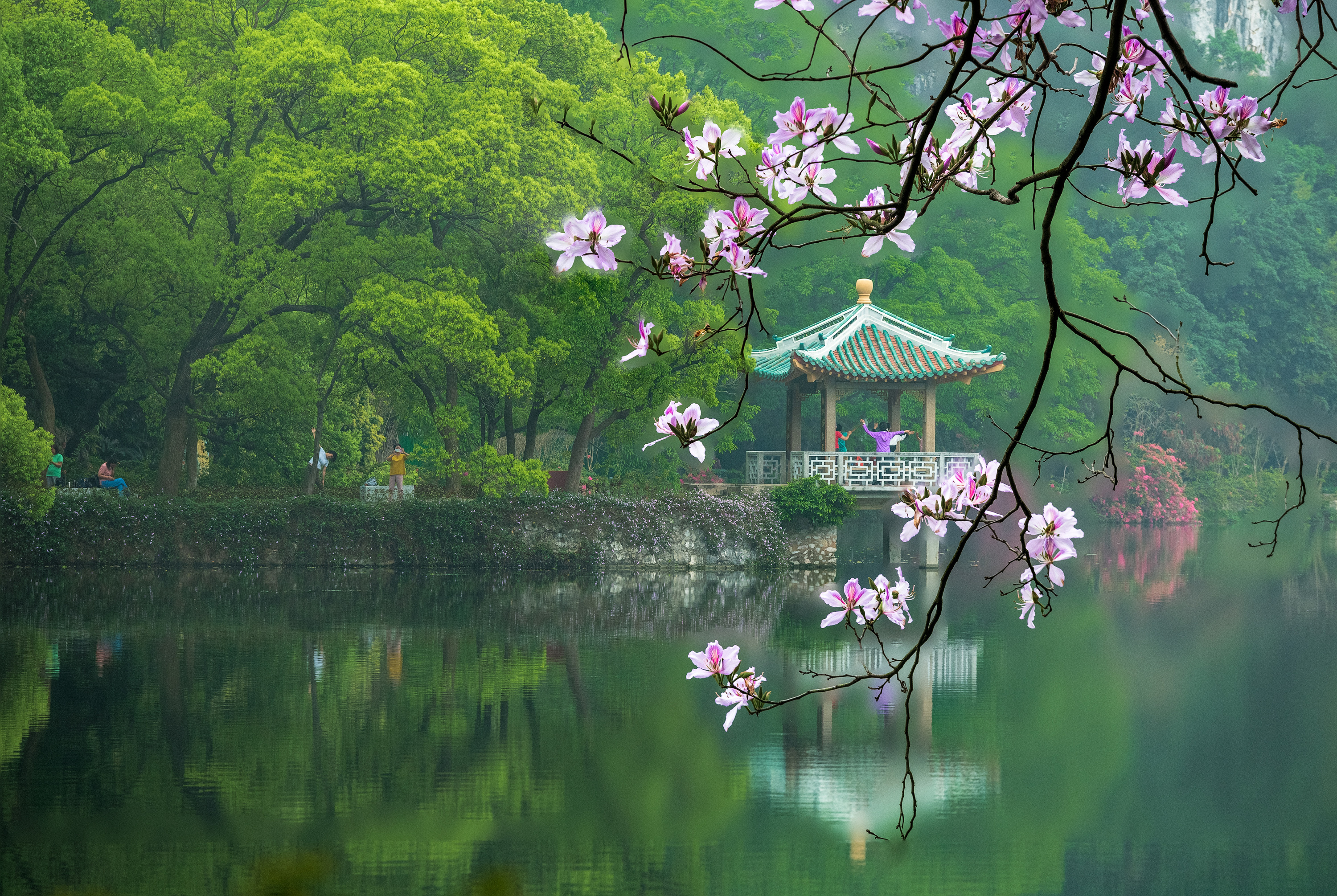 煙雨入星湖,春花爛漫,山水如畫.黃露 攝