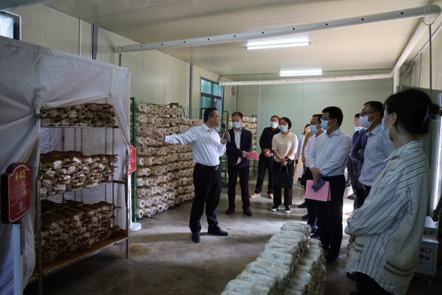 在微生物健康产业展示园参观调研