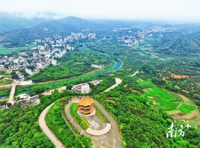 怎么约周围的鸡“书记项目”请您阅卷⑥｜ 家门口服务解决大难题，谢鸡镇“办事不出村”项目让群众节约交通成本约10万_https://www.jmylbn.com_新闻资讯_第3张