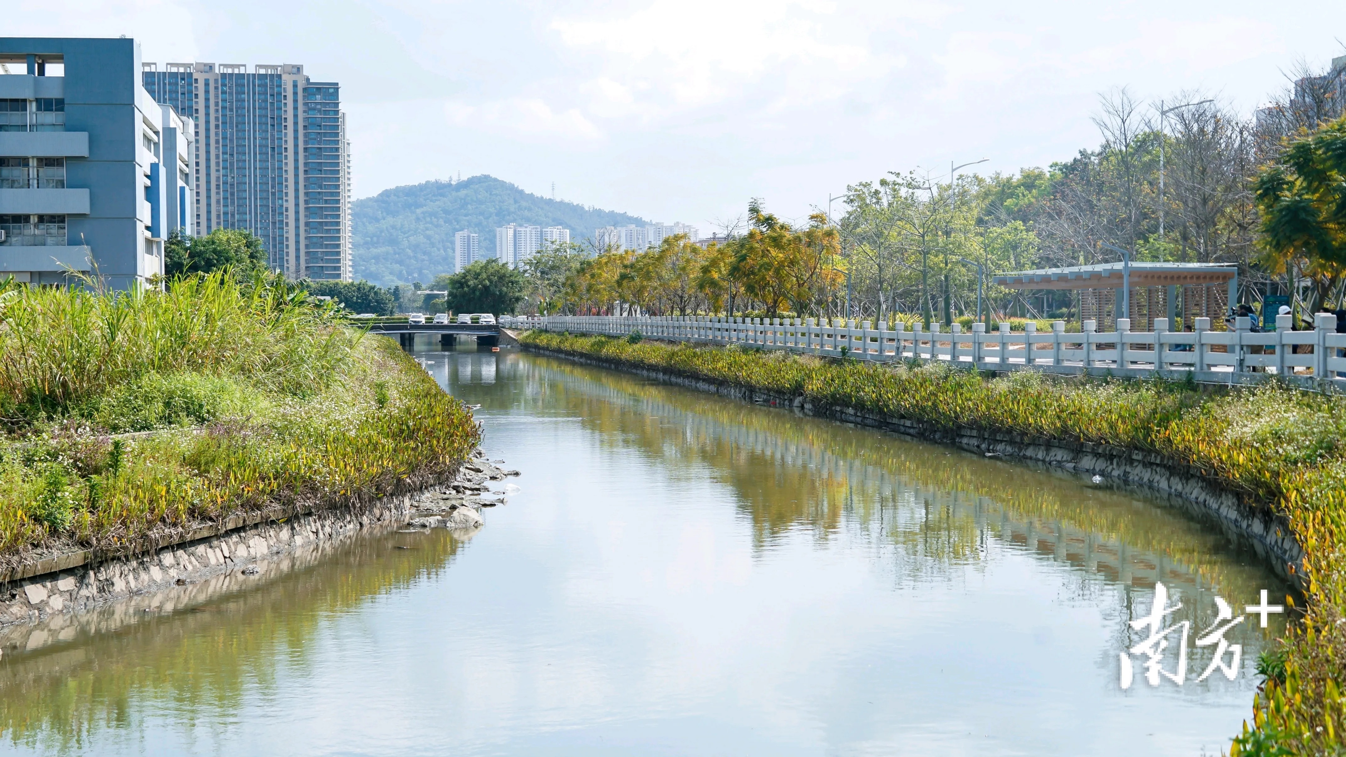 自2020年7月进场施工示范河涌孖涌以来,火炬开发区已陆续组织濠头涌