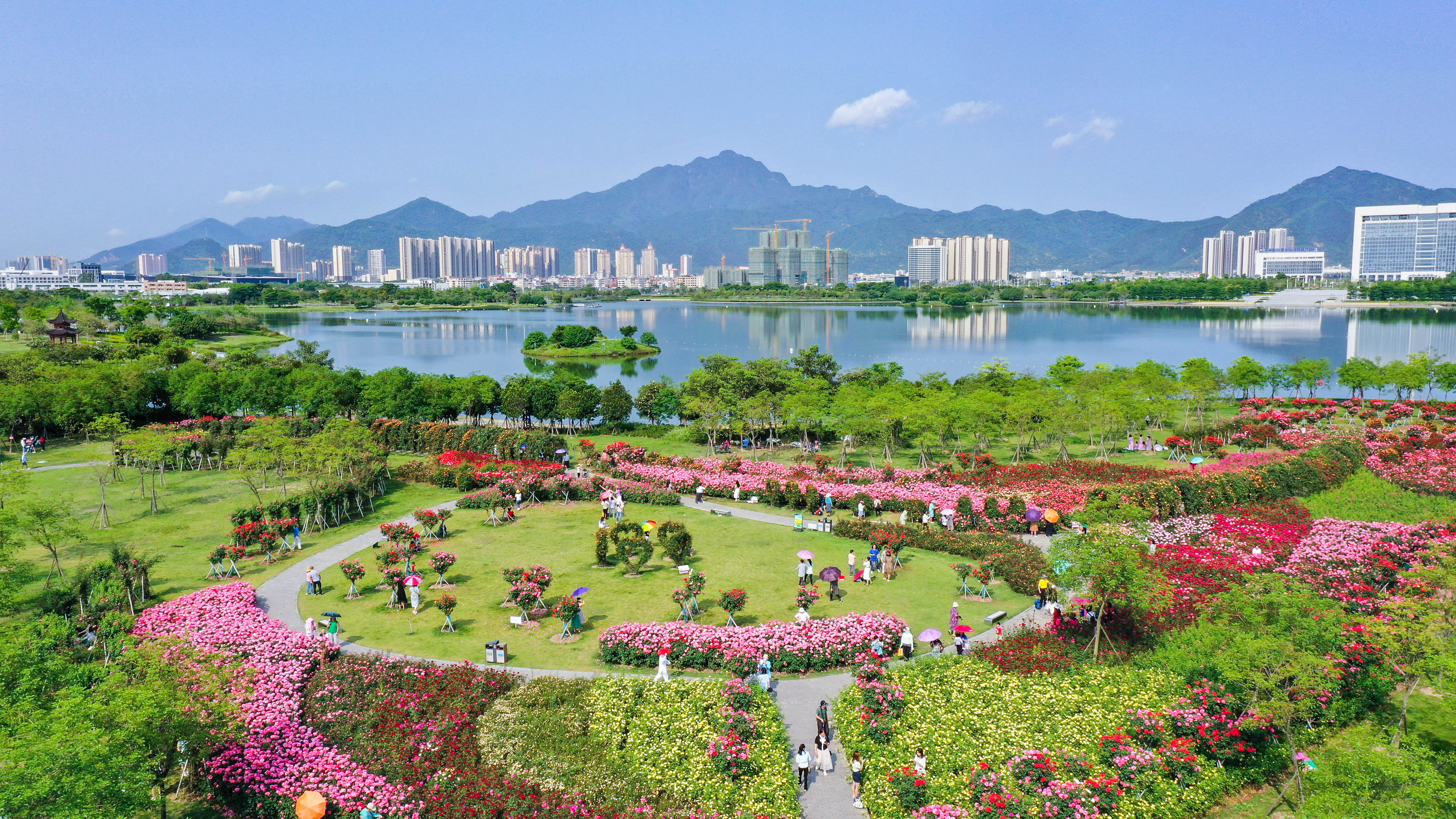 天气乍暖还凉绿树更兼花香周末肇庆最宜踏青