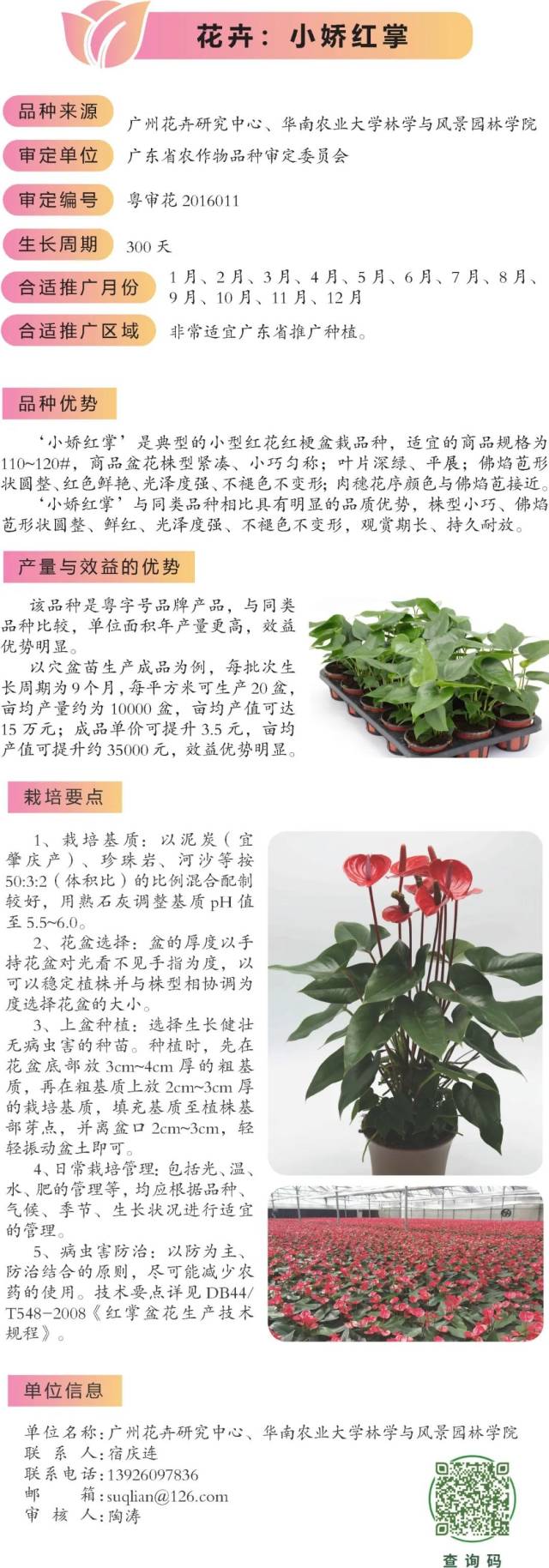 从化入选2022省主导品种和主推技术的4种花卉和3项技术，究竟有何魅力？