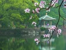 肇庆在春光里如何奔跑？《南方日报·肇庆观察》逐一讲述