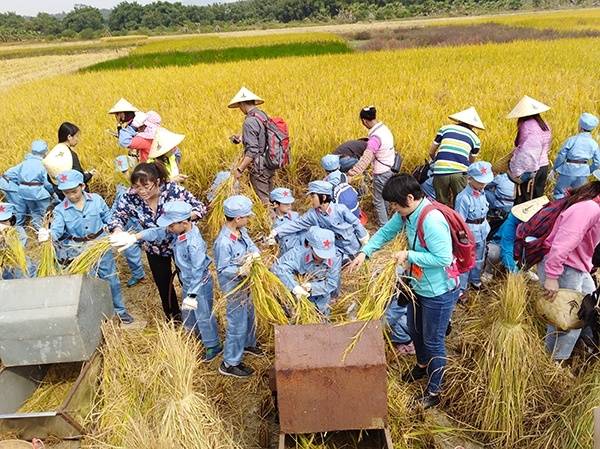 江门市大坪村农耕文化研学基地 