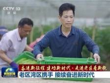 【奋进新征程 建功新时代·走进老区看新貌】老区湾区携手 接续奋进新时代