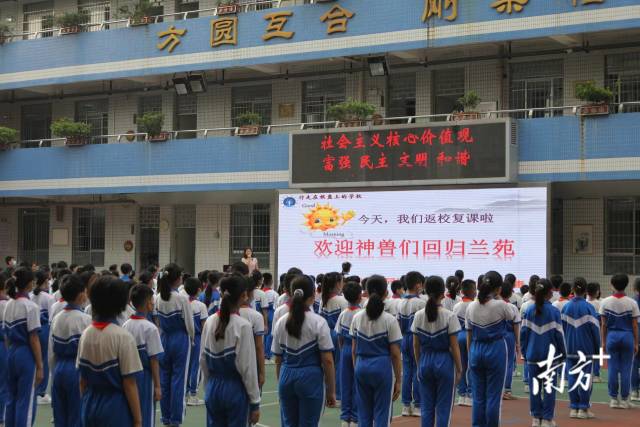 神兽归笼广州小学生复课现场