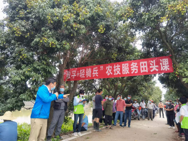 专家精准讲解 受访者供图