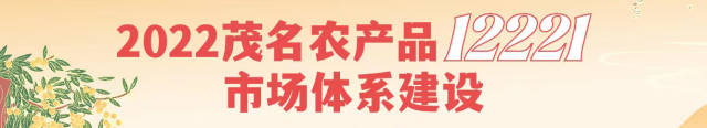 今年首批！广东茂名新品种荔枝出口RCEP国家