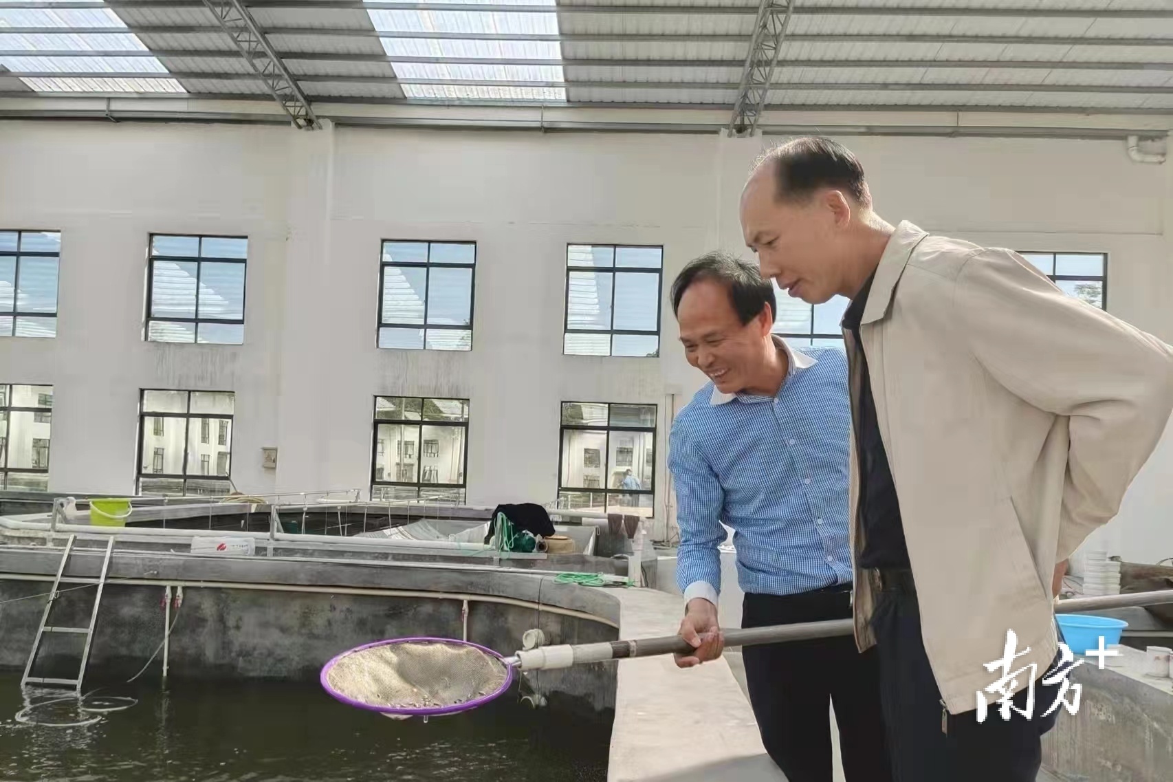 他半辈子跟罗非鱼打交道，成为茂南区首位“乡村工匠”高级工程师