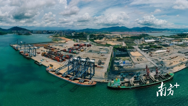 南方+ 王昌辉 制图