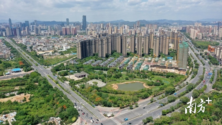 南方+ 王昌辉 制图