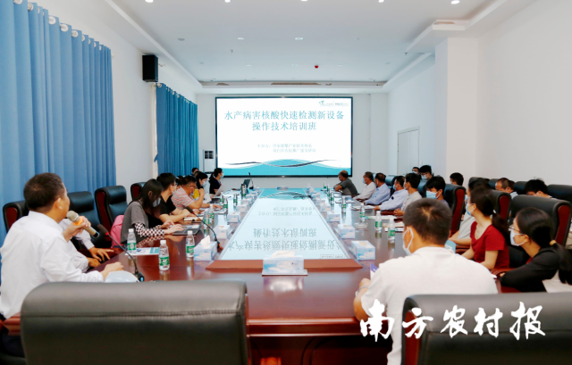 电白区水产病害核酸快速检测新设备操作技术培训活动现场。