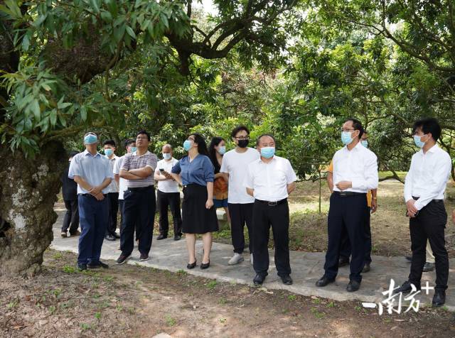 茂南区区委书记廖述毅（右三），区委副书记、区长吕国记（右二）等听取汇报