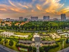 园洲镇委书记张剑辉：以“乙方”思维全心全意服务企业