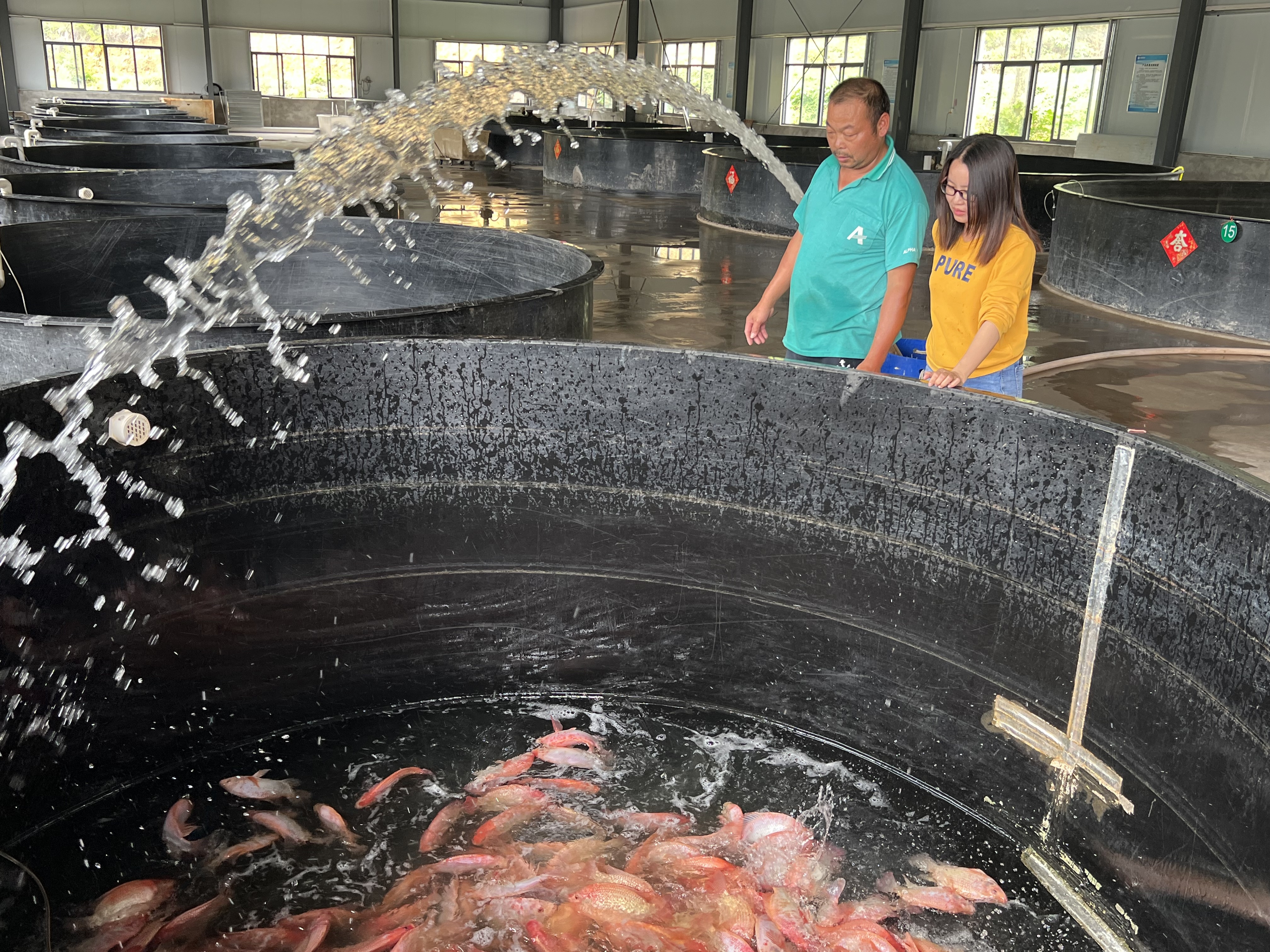 南方+ 卢慧 拍摄