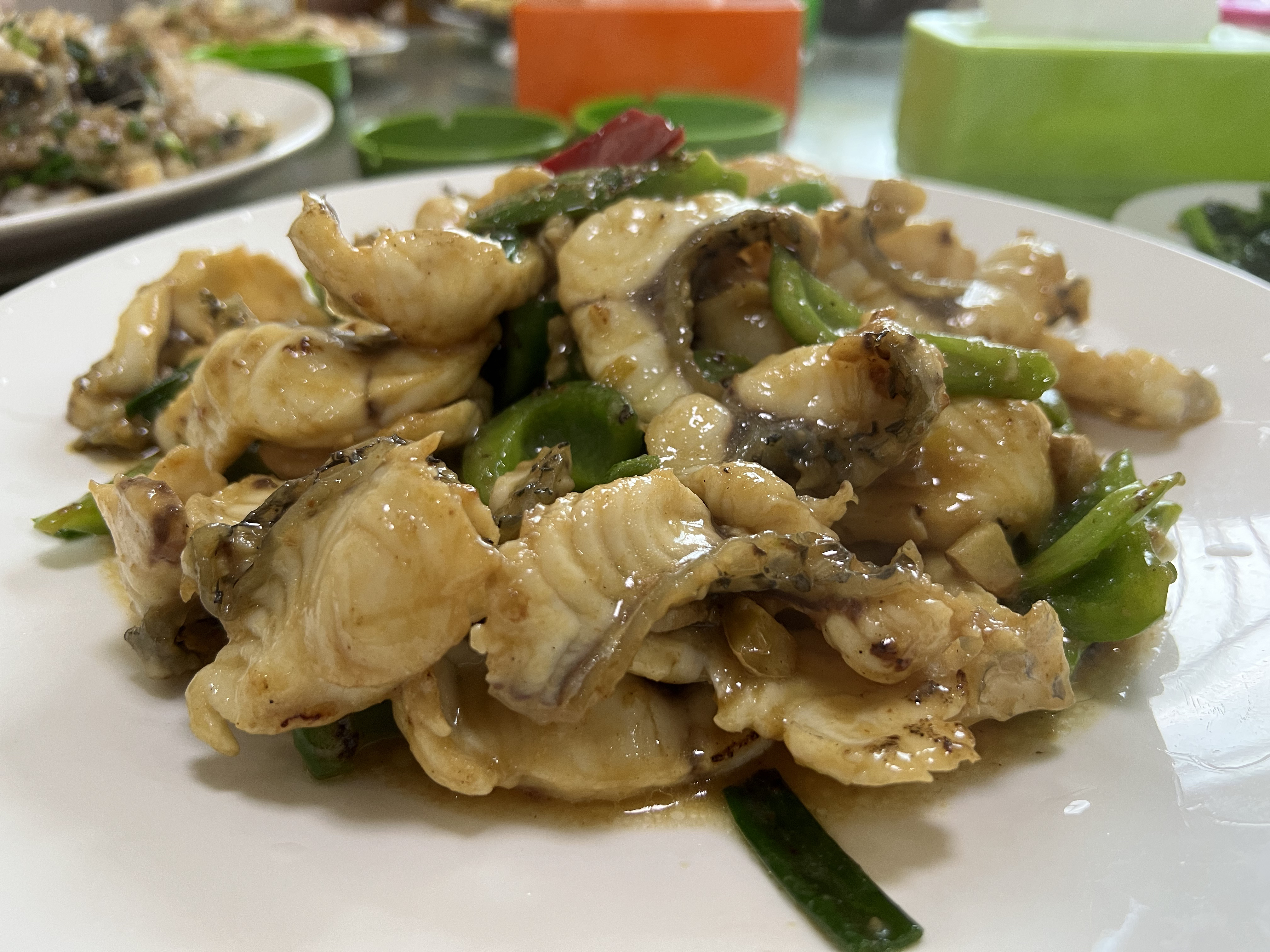 南方+ 卢慧 拍摄