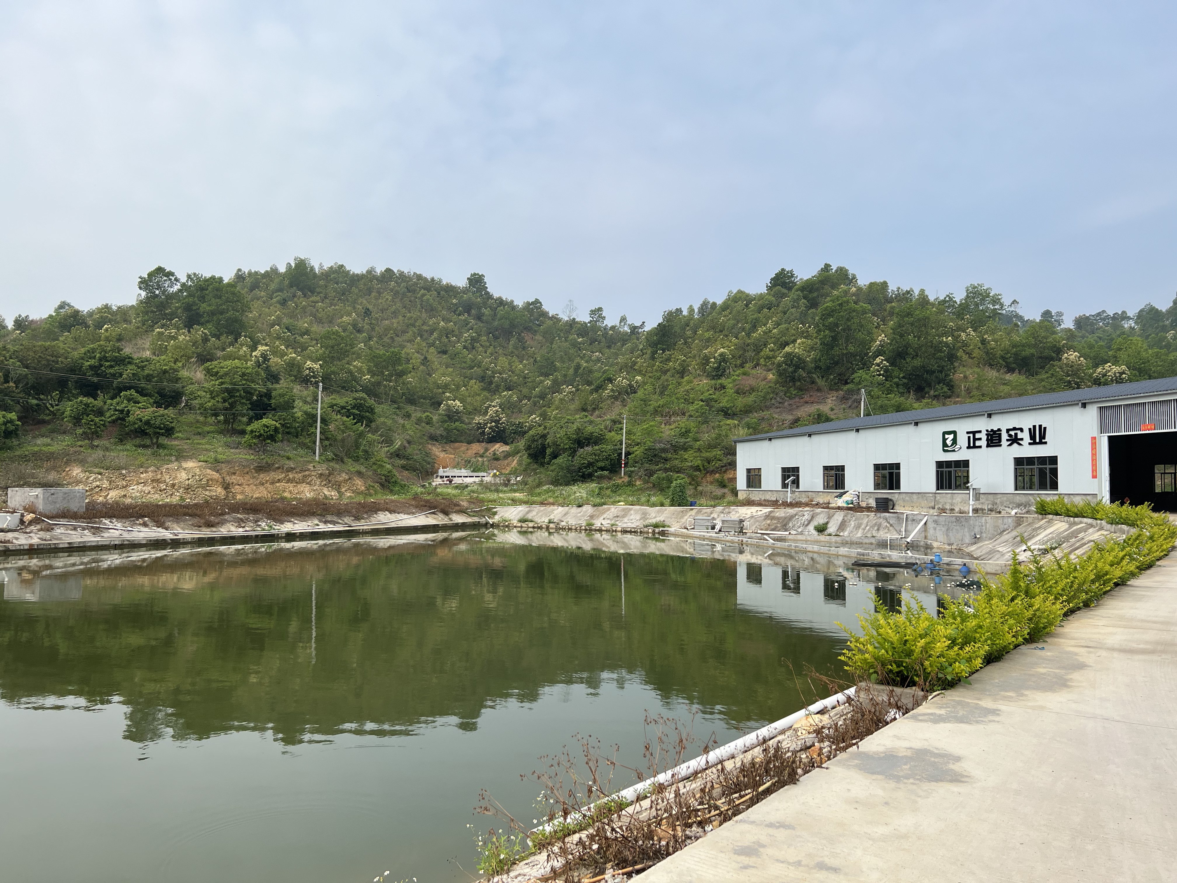 南方+ 卢慧 拍摄