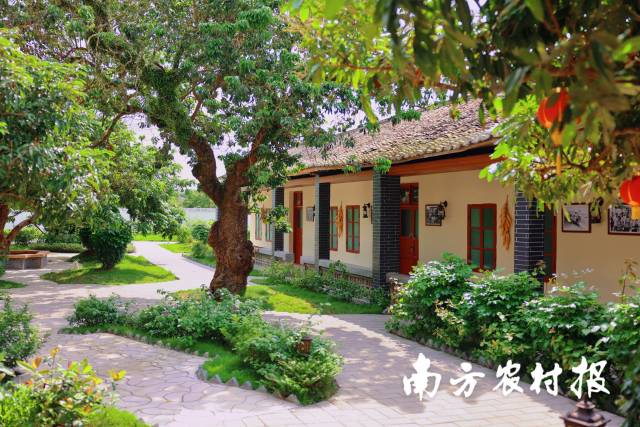 通訊員 南方農(nóng)村報(bào) 供圖
