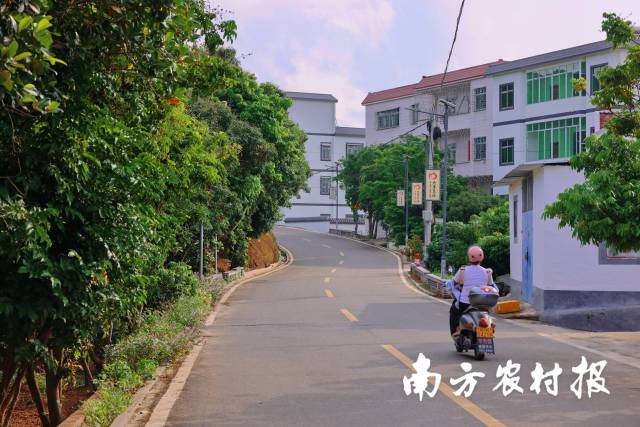 通訊員 南方農(nóng)村報(bào) 供圖