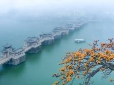 感恩奋进这五年 | 岭南文化“双创”工程，推动文明传承文脉延续