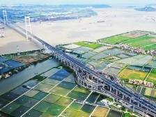 广东省委常委、广州市委书记林克庆：持续当好全省乡村振兴的示范和表率