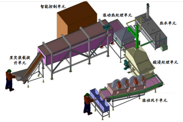 荔枝采后热处理+酸浸处理保鲜自动化装备示意图(出自Juran Metal Works LTD. (EcoLychee)，Israel)