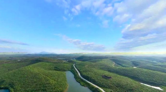 位于开平市苍城镇的产业园景色