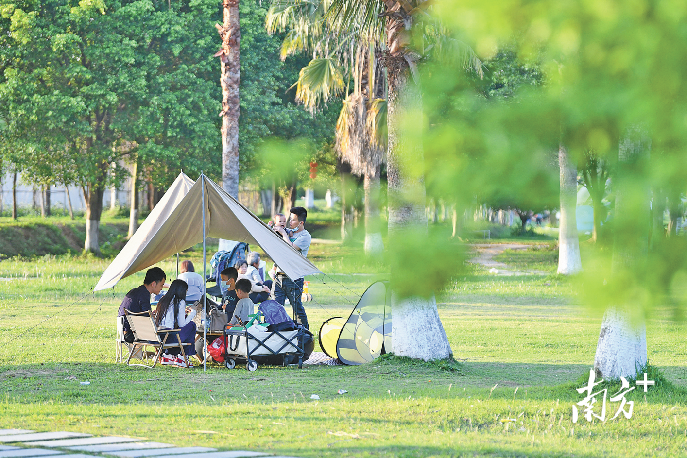清明假期里，佛山各大公园、滨水绿地随处可见露营野餐的人。 南方日报记者 戴嘉信 摄