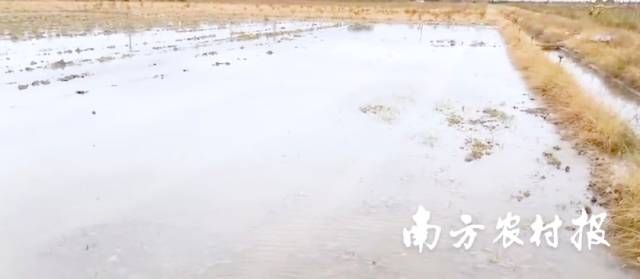 土壤泡水、消毒处理