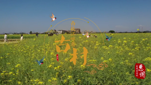 西枝江畔看古村,发现更美的惠州!