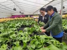 佛山中行：做强普惠金融，践行大行担当｜佛山消费趋势报告