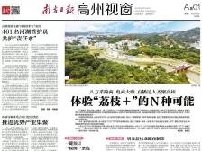体验“荔枝＋”的N种可能|速览《南方日报·高州视窗》57期