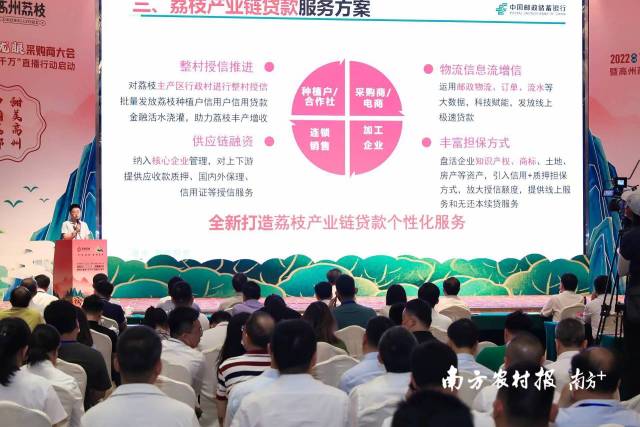 4月29日，在高州荔枝龙眼采购商大会上，荔枝全产业链贷款服务方案发布