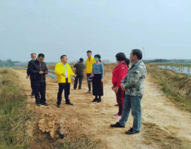  工作队与罗定市绿家农业发展有限公司负责人调研古范村撂荒地情况