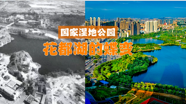 国家湿地公园--花都湖的蝶变