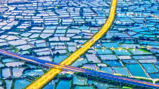 佛山，推窗见绿，转角遇“美”！