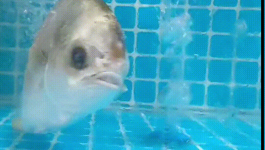 南方农村报 邓汉文 拍摄