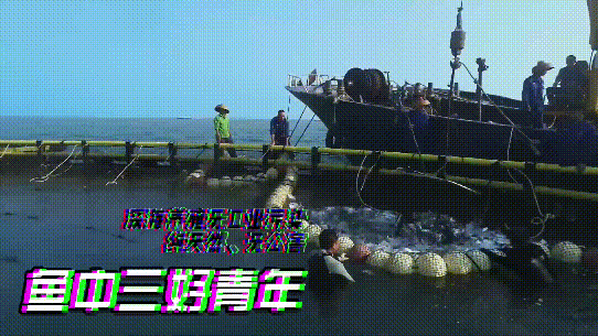 南方农村报 邓汉文 拍摄