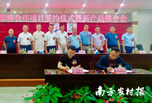 柑情深公司与中山子锦科技公司签订《陈皮蜜醋中山区域总代理意向书》。