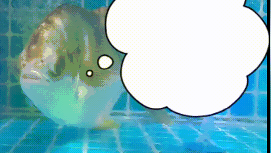 南方农村报 邓汉文 拍摄