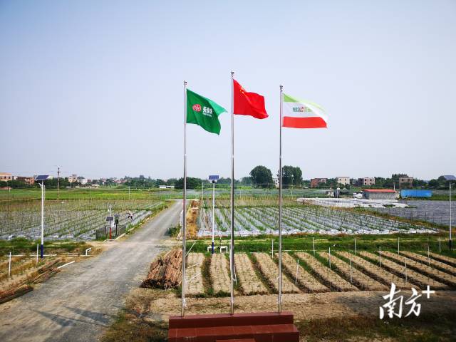 广东欧美泰集团股份有限公司基地