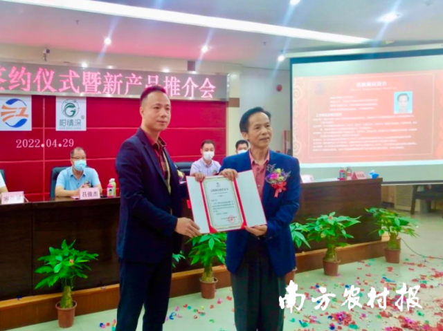 柑情深董事总经理林锦彪向罗福祥高级顾问颁发聘书。 