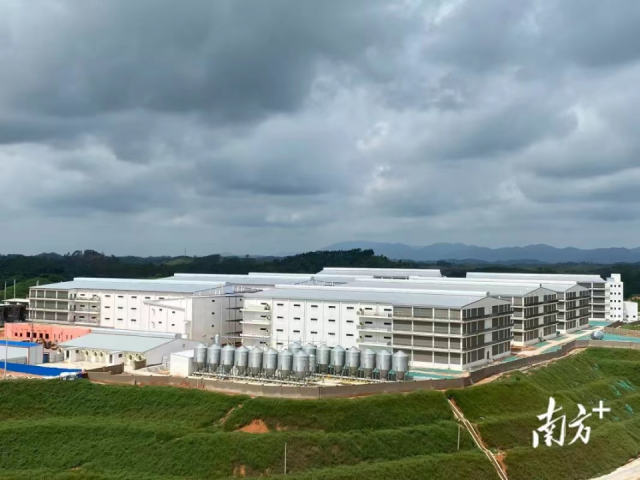 没地又要养猪，那就只能向天要空间，实施高楼养猪了