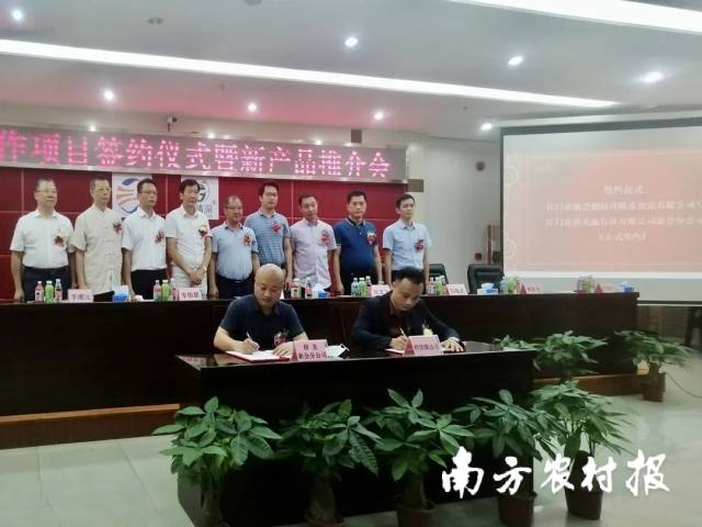 柑情深公司董事总经理林锦彪与侨光新会分公司、新会汽车总站负责人吴仕国签约。