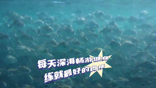 南方农村报 邓汉文 拍摄