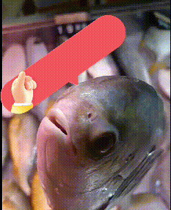 南方农村报 邓汉文 拍摄