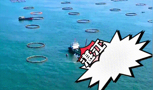 南方农村报 邓汉文 拍摄