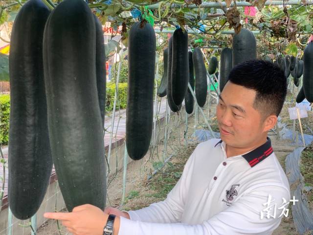 南方农村报 陈国波 拍摄